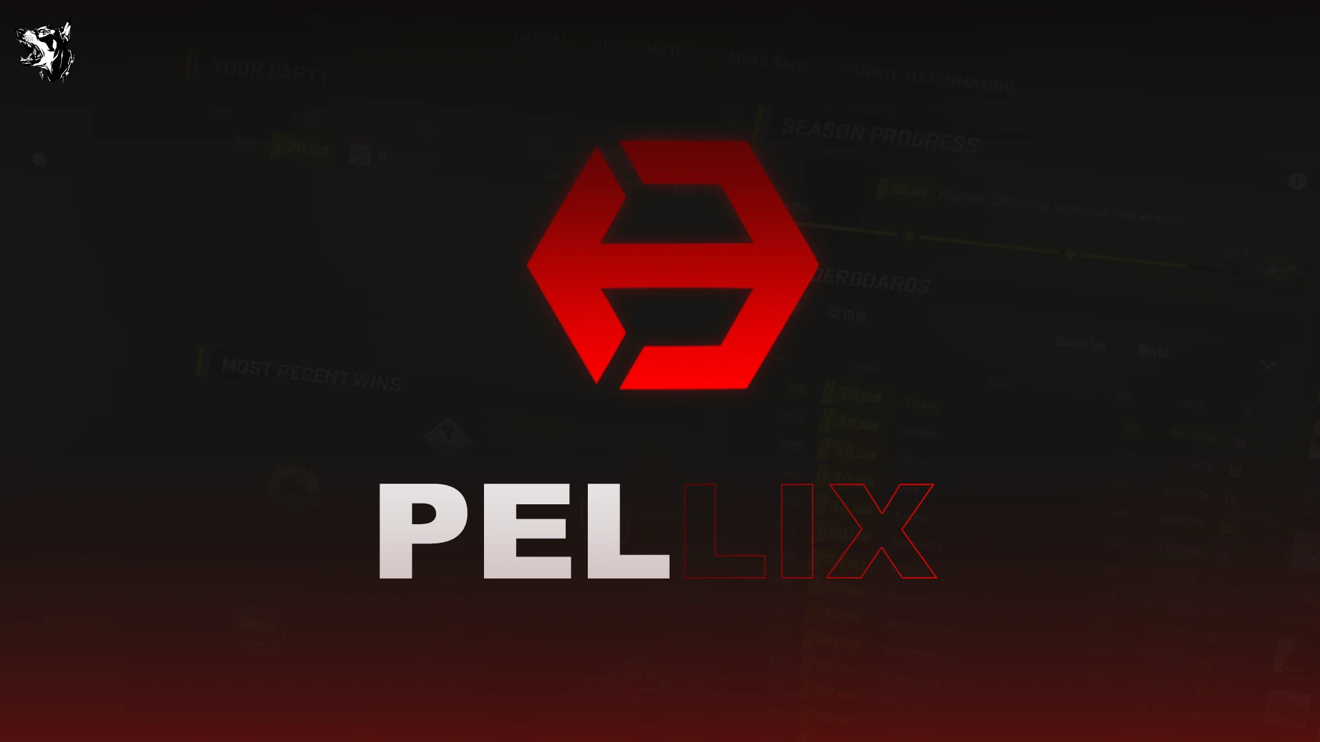 PELLIX CS2